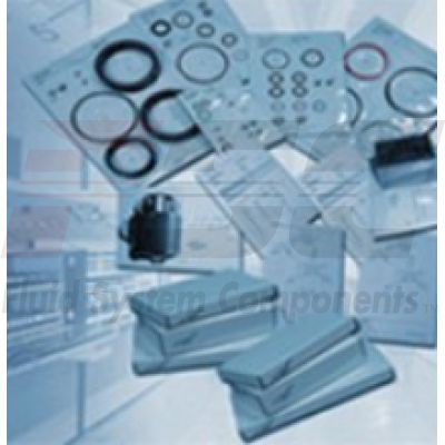 Bosch Rexroth-R900309825-R900309825