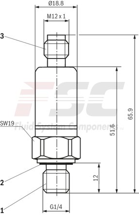 technical illustration-R901466599-Pressure transducer with analog output 4 &hellip; 20 mA, pressure range 0 &hellip; 315 bar, connector 4-pole M12x1 A-coded, throttle element